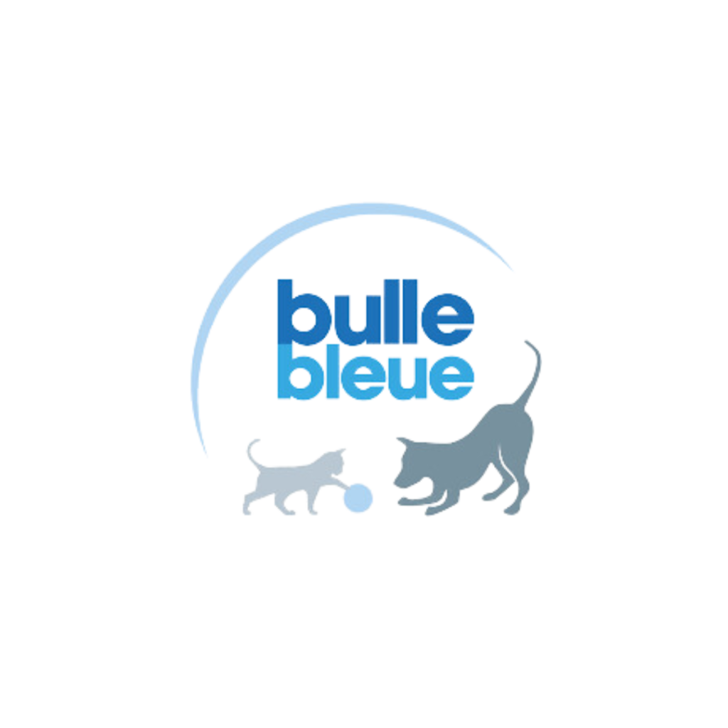 Logo Bulle Bleue